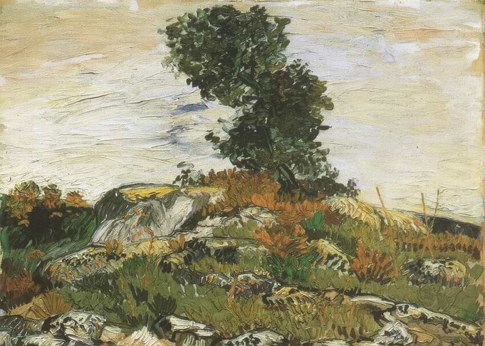 Tree on a Hillside