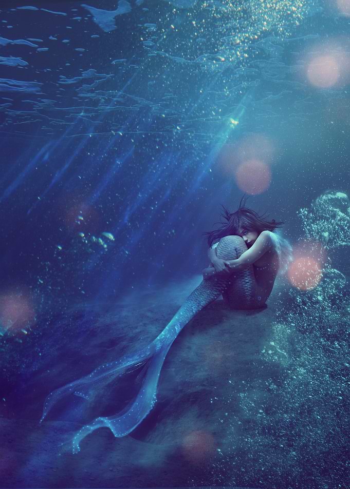 Shallows