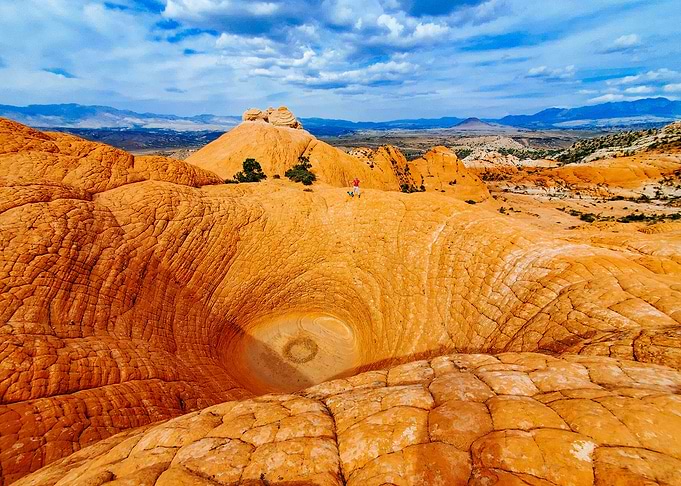 The Vortex