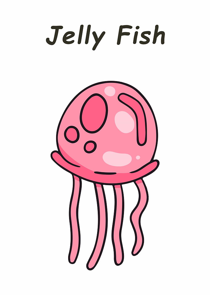 Pink Jellyfish Illustration