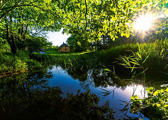 Tranquil Pond with Cottage