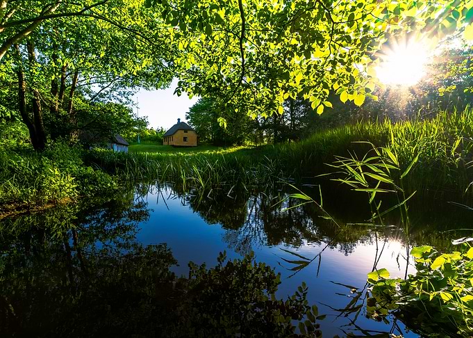 Tranquil Pond with Cottage