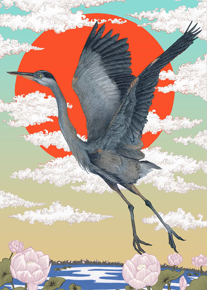 Heron Flies at Sunrise