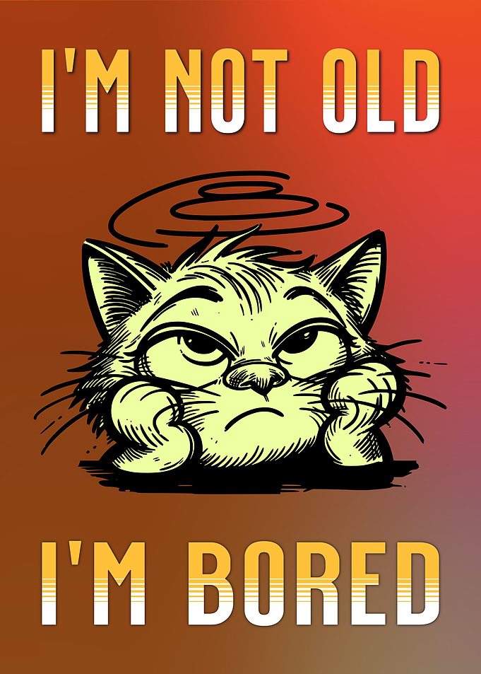 Bored Cat Meme