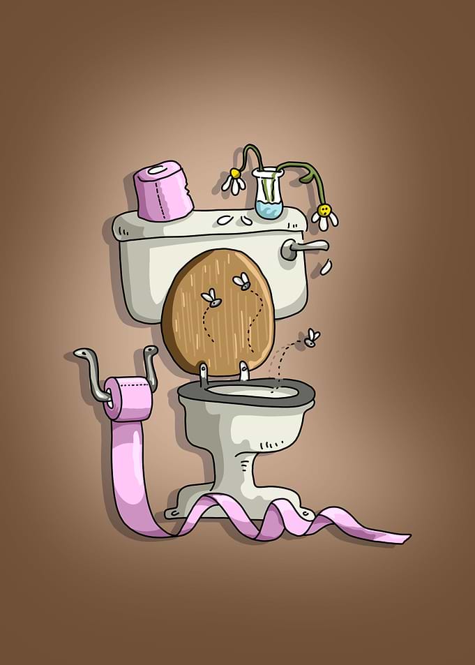 retro game Toilet Trouble