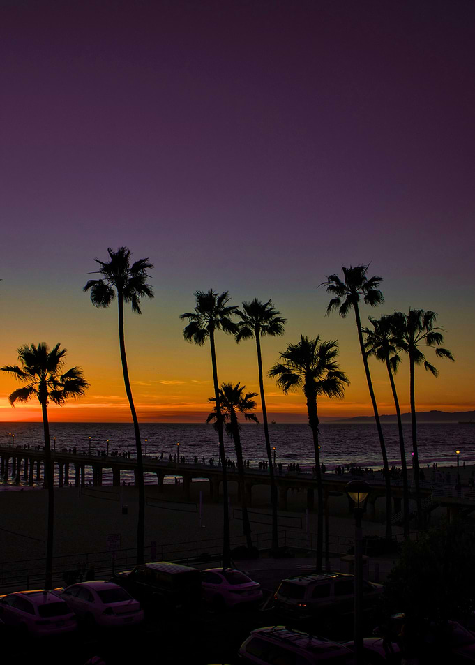 Sunset Palm Trees Beach