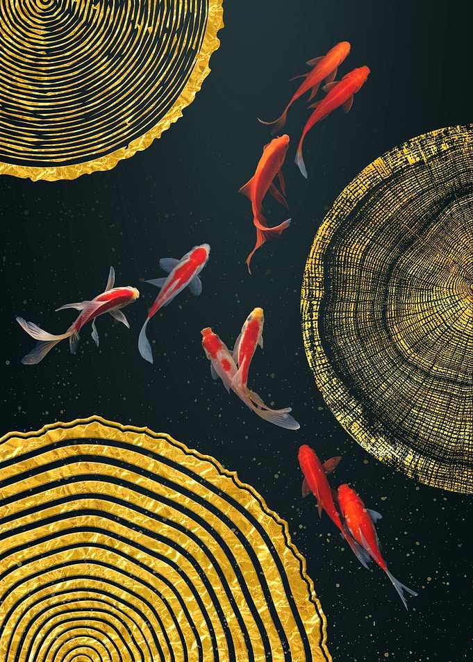 Goldfish and Circles