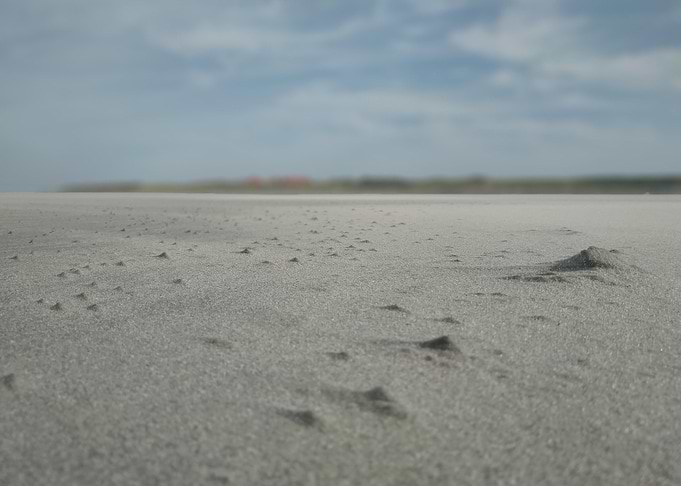 Sandy Beach Landscape