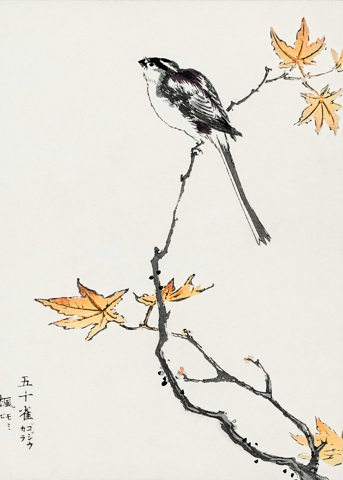 Bird on Branch with Autumn Leaves - japanese style