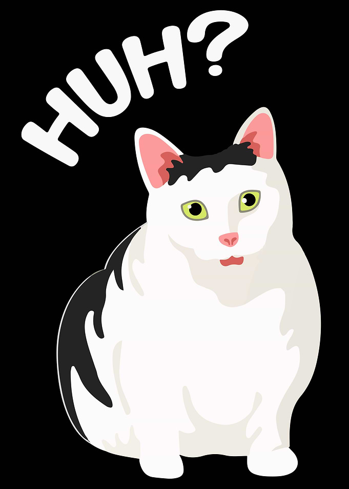Huh? Cat Meme