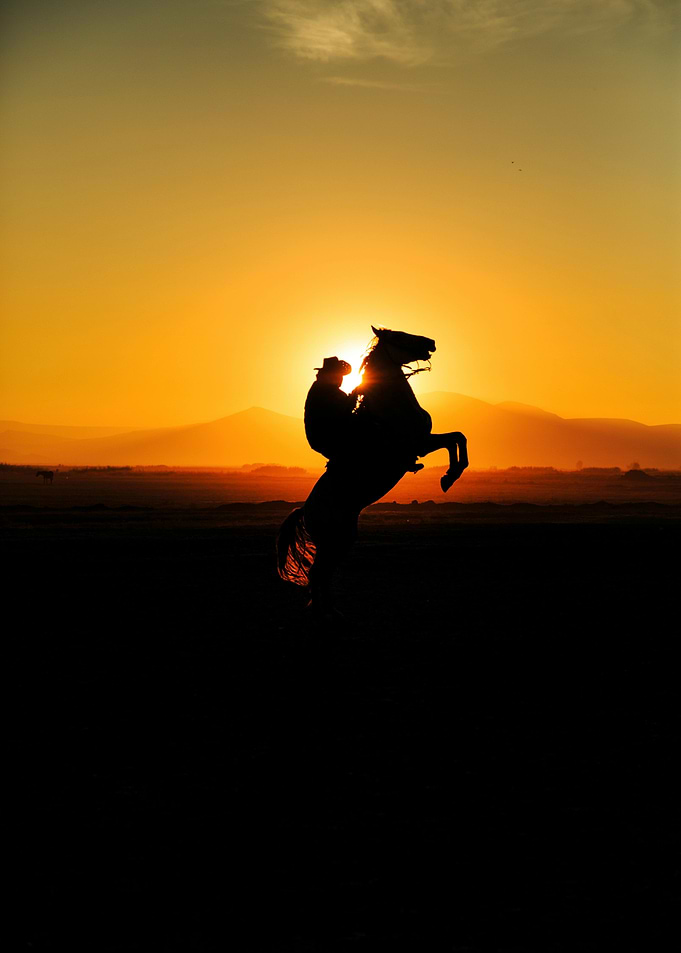 Silhouette of Horse and Rider