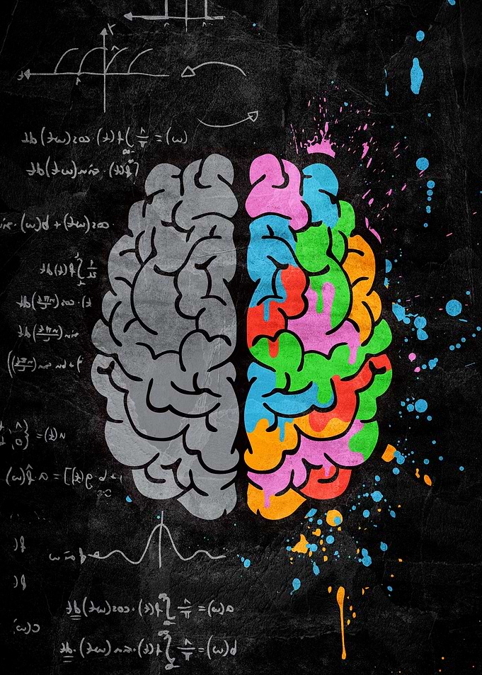 Colorful Brain with Equations