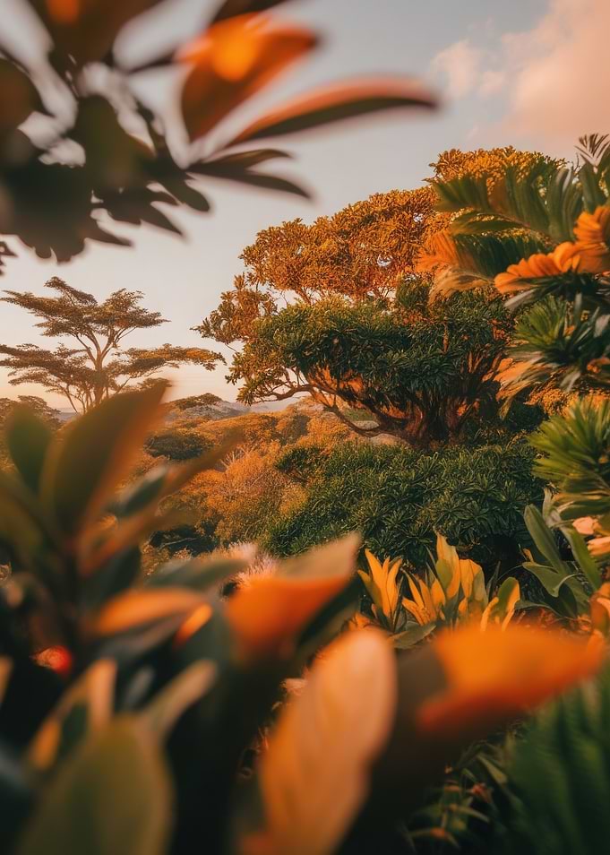 Golden Hour Foliage