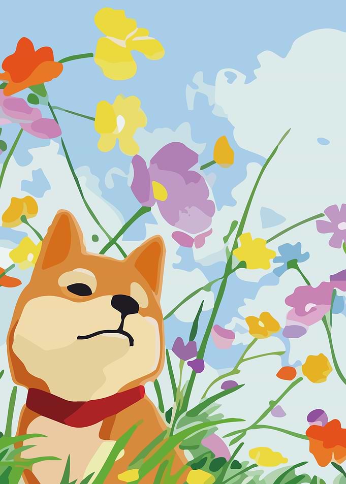 Cue dog in Flower Field