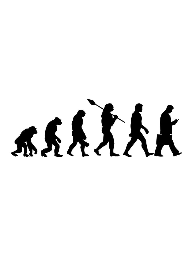 Evolution of Man
