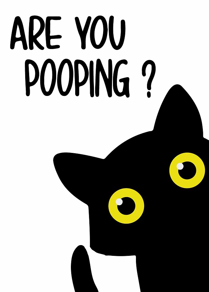 Cat Meme - Are You Pooping?