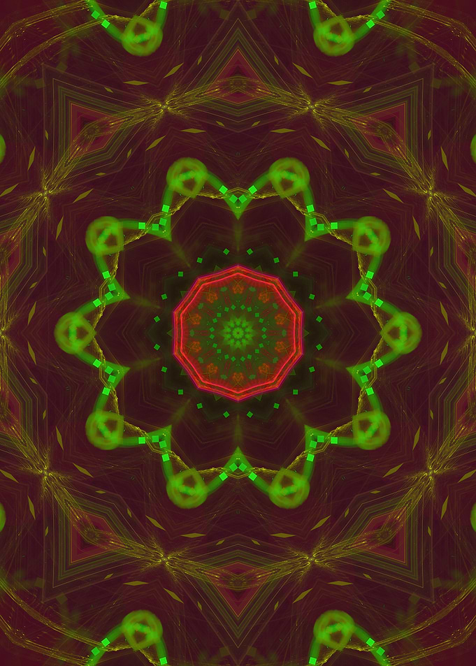Lime Daisy