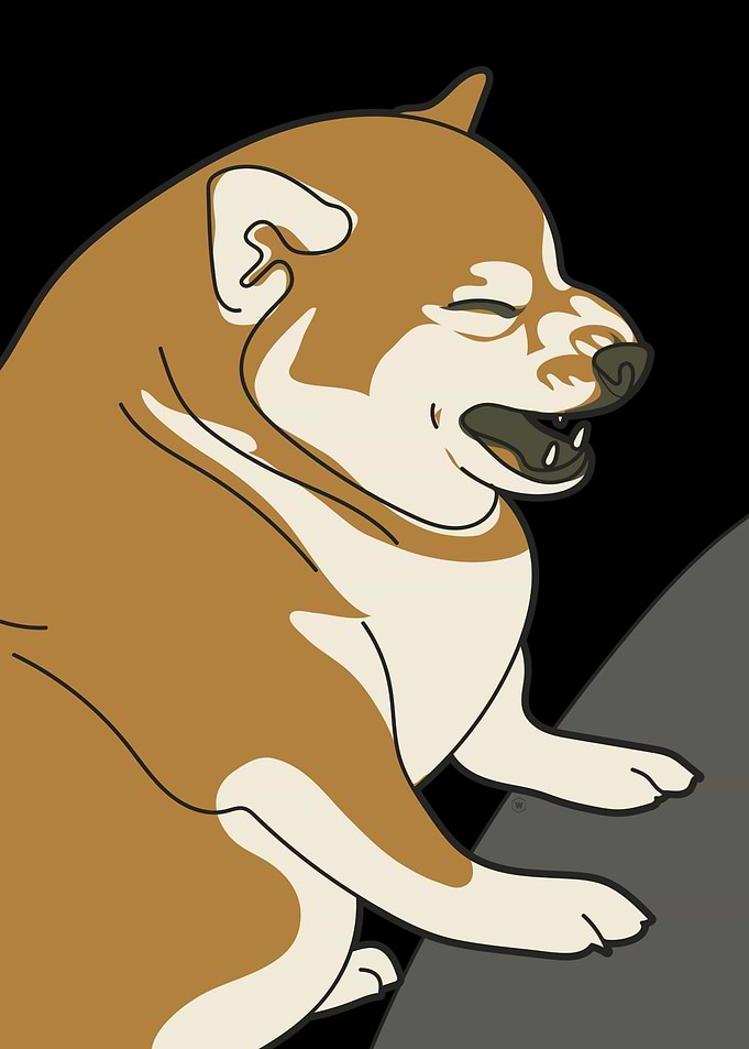 Doge Meme Dog
