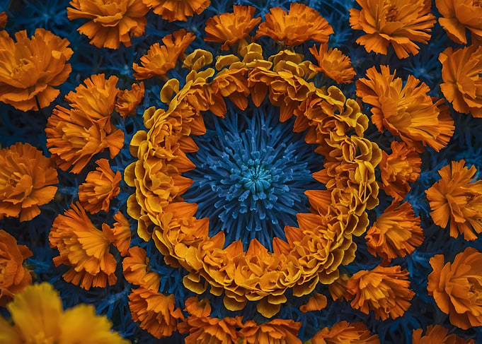 Floral Mandala
