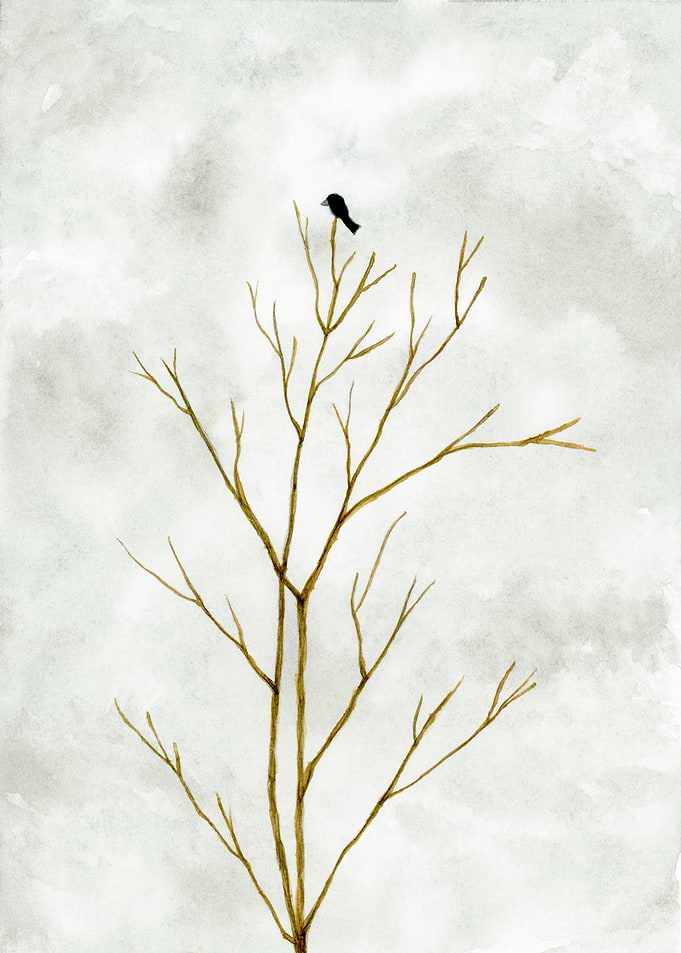 Alone, Lone Black Bird on Bare Tree