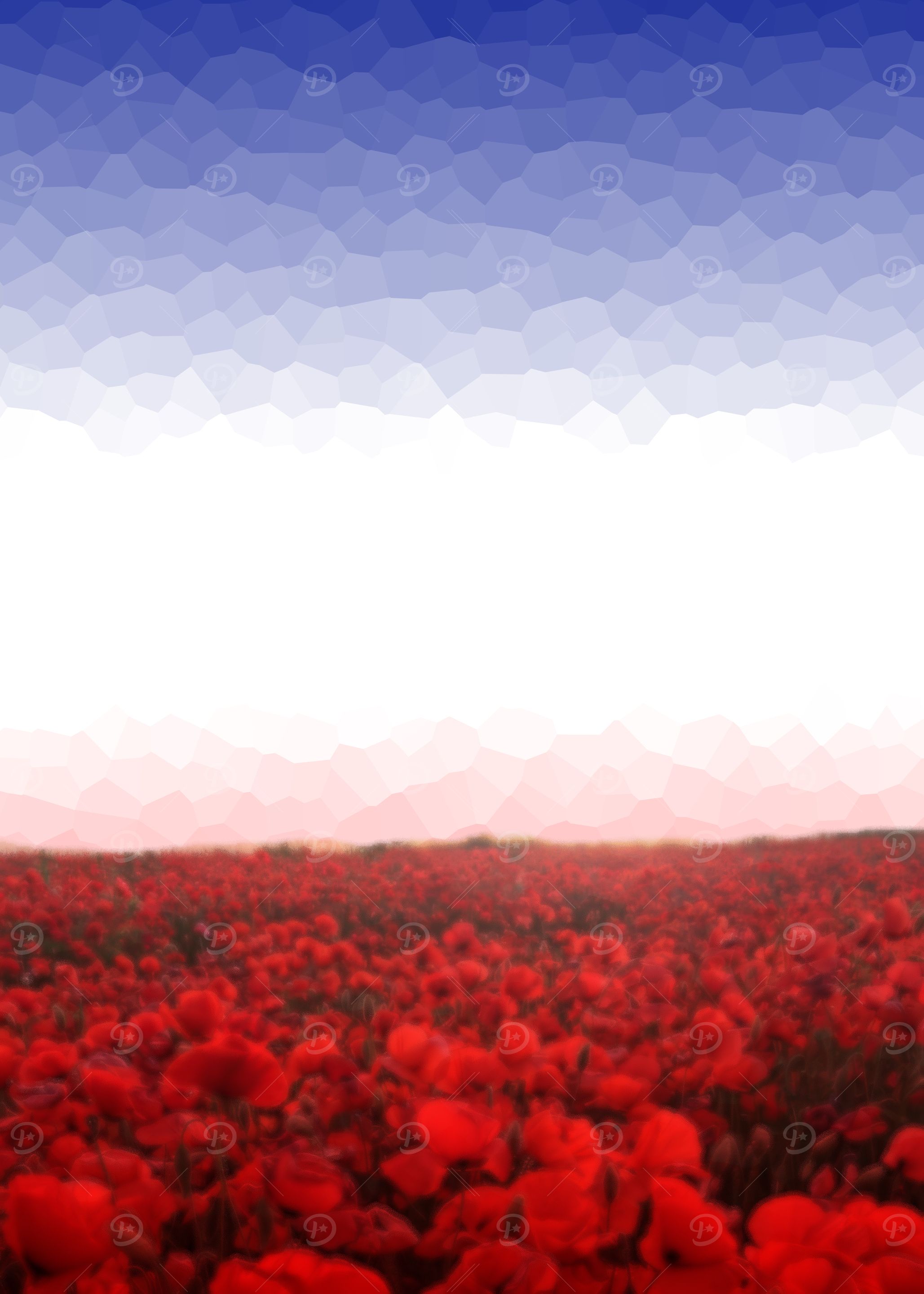French Flag Red Poppy Field