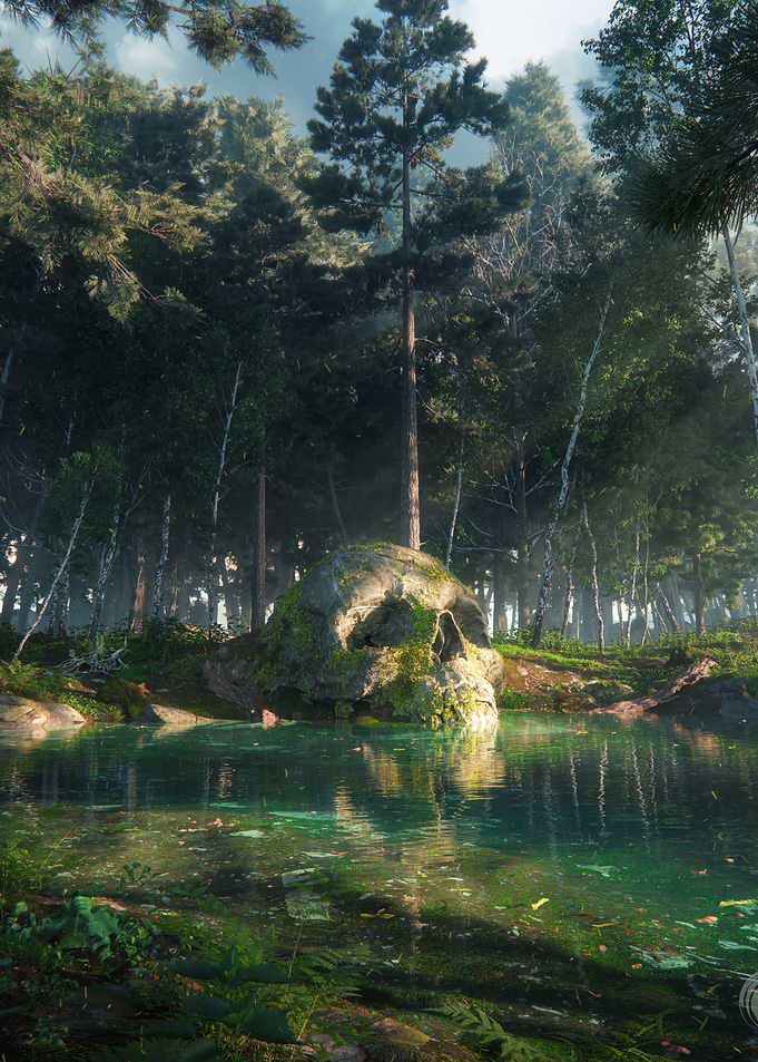 Deep in the Forest