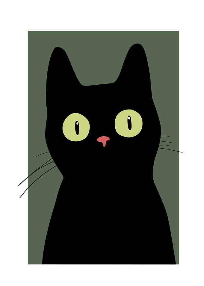 Black Cat with Big Eyes