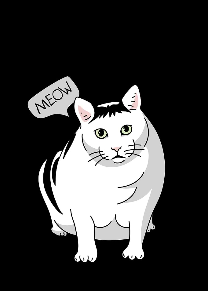 Cute Cat Illustration