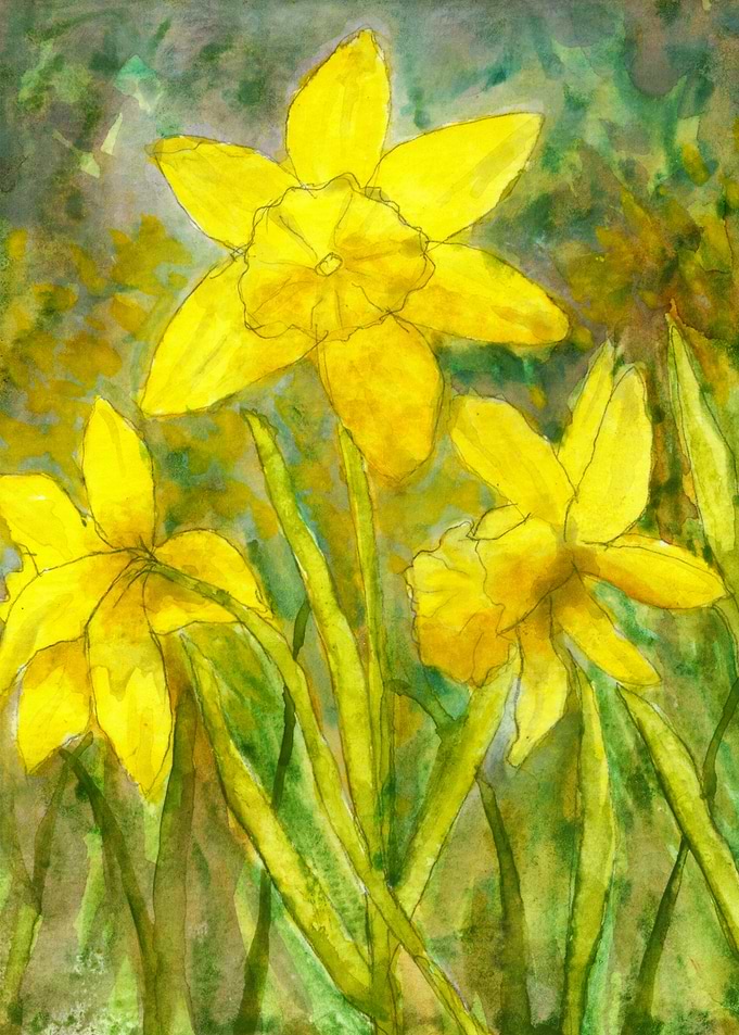 Watercolor Yellow Wildflowers Daffodils