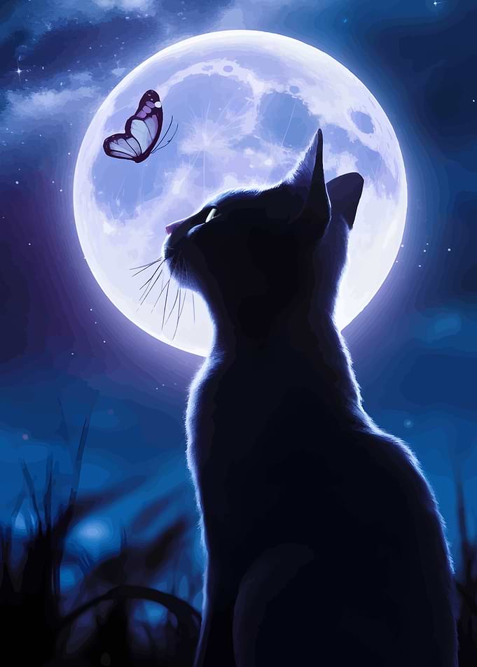 Black Cat Under Moonlight