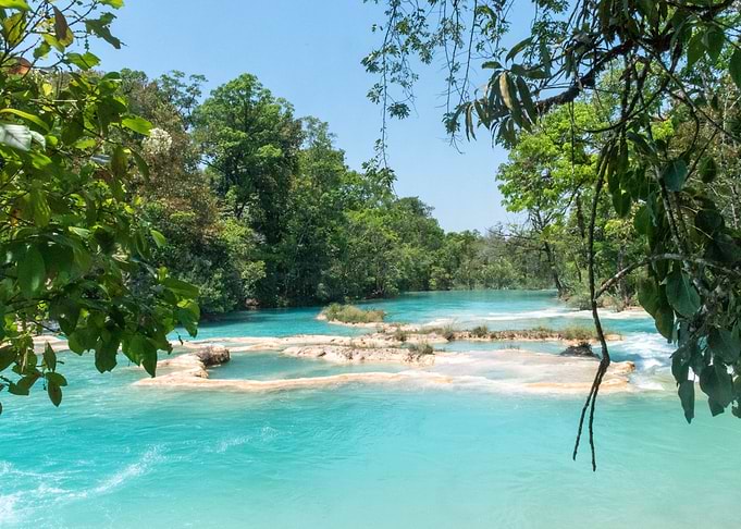 Turquoise River in Lush Jungle
