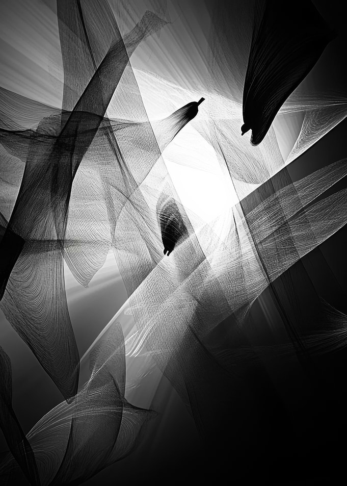 Abstract Black and White Art