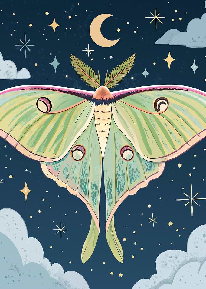 Luna Moth Night Sky