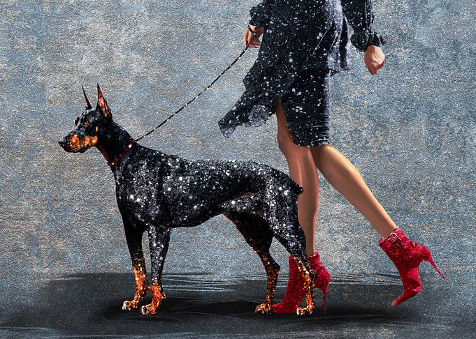 Dog & Woman