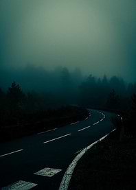 Foggy Road