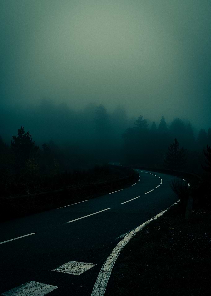 Foggy Road