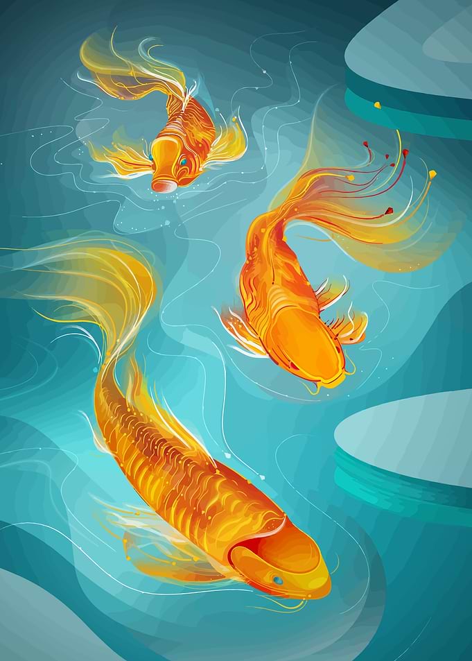 Golden Koi Fish
