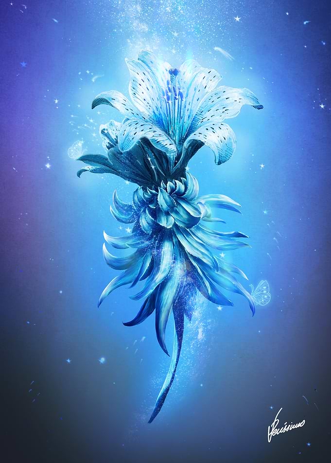 Midnight Bloom