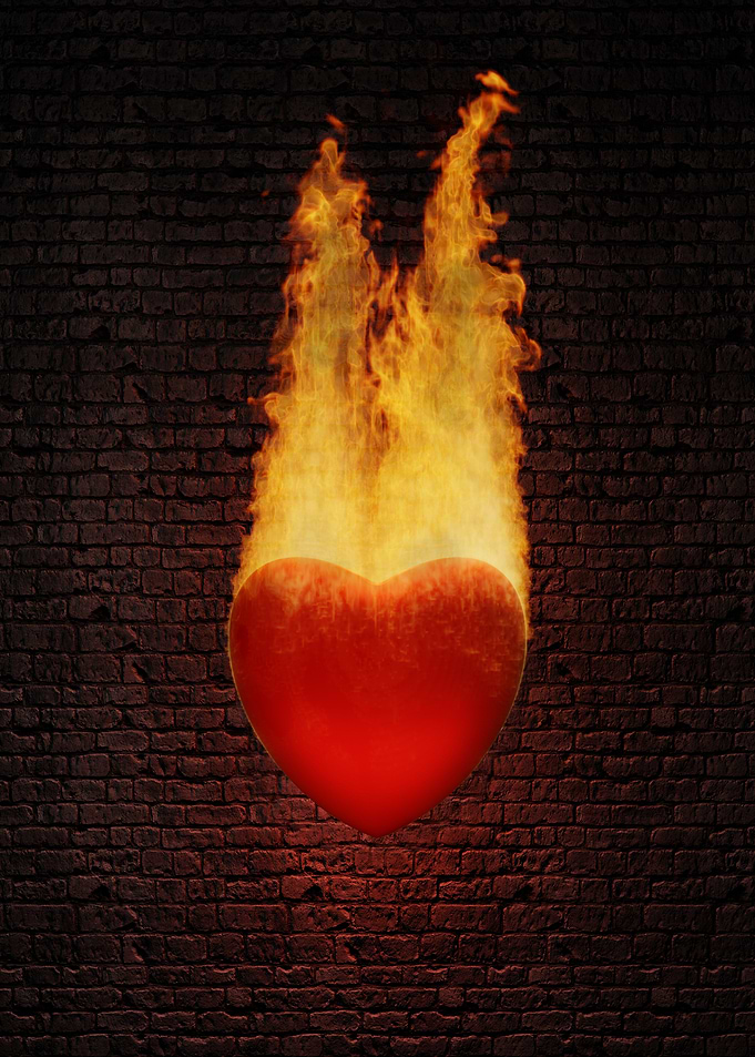 Read Heart in Fire - Burning Heart