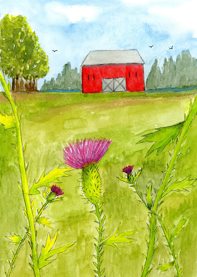 Red Barn and Thistle, Watercolor Landscape Illustration