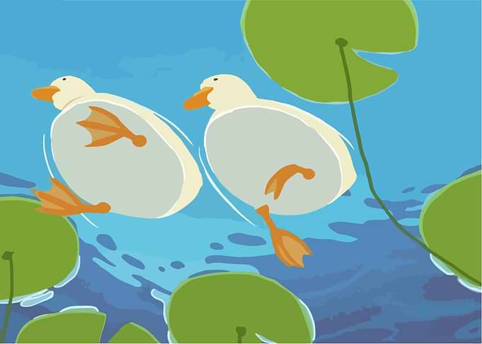 Ducks Underwater