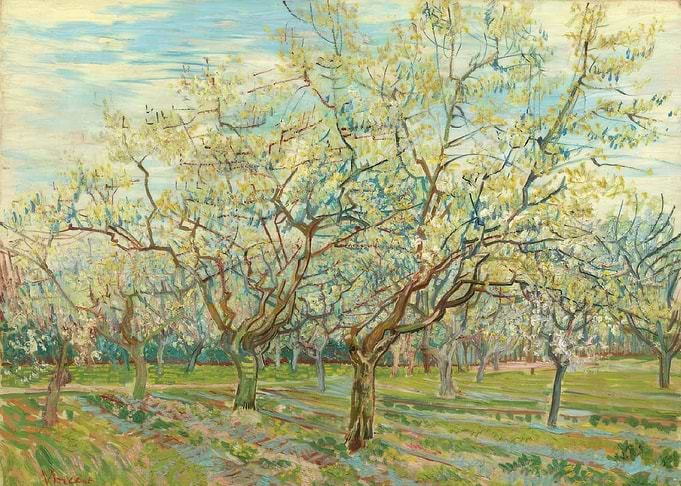 Almond Blossom Painting