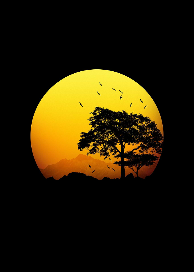 Silhouette Sunset