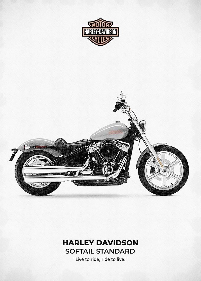 Harley Davidson Softail Standard