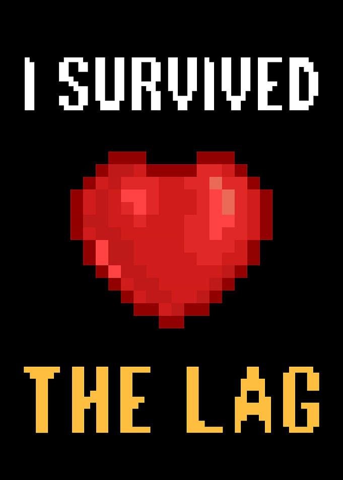 I Survived The Lag Gamer