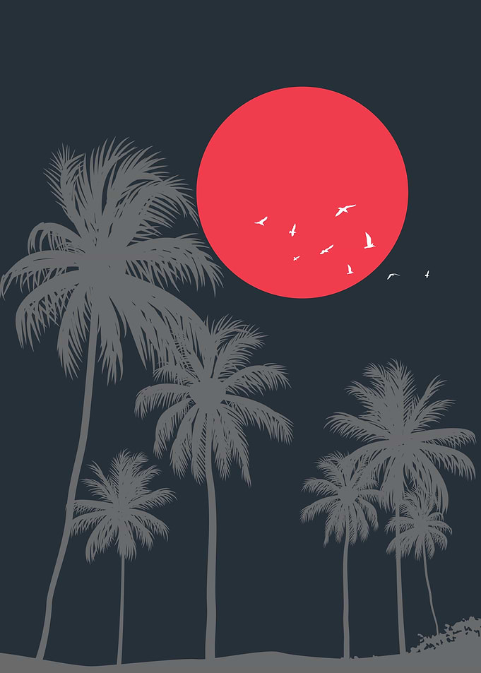 Palm Trees and Sunset