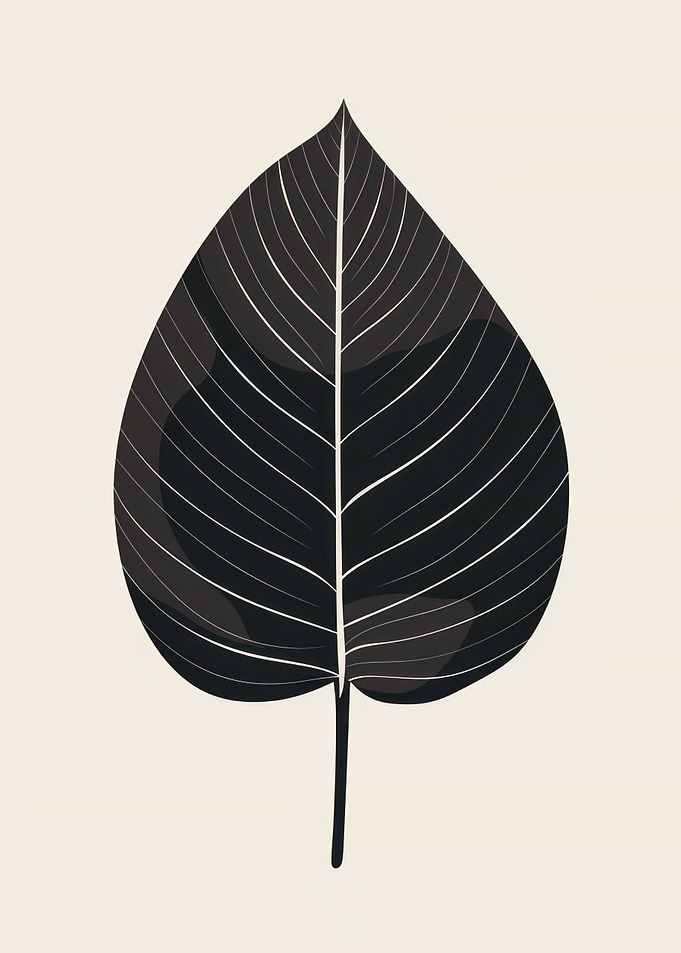 Black Leaf Illustration