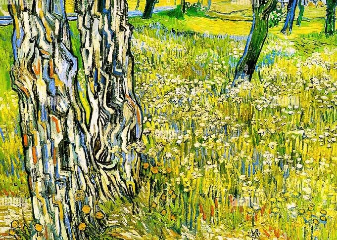 Tree Trunks and Flowers