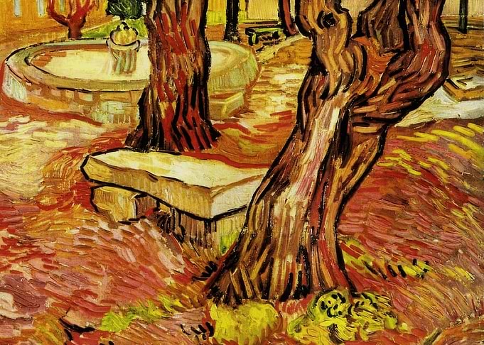 Tree Trunks and Bench