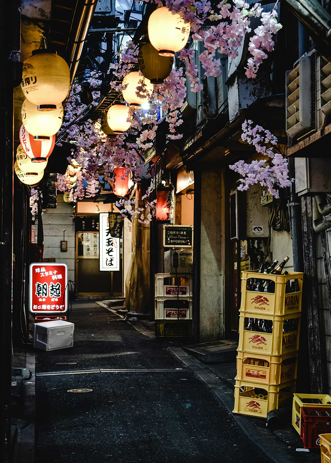 Japanese Alleyway at Night